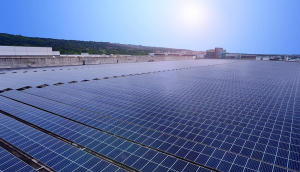 中美硅晶与8868体育光电携手战略合作