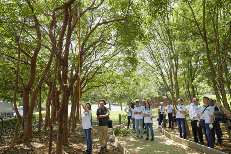 藝師教導大家認識樹木、檢查樹的健康狀況，學習修枝及碎枝覆土